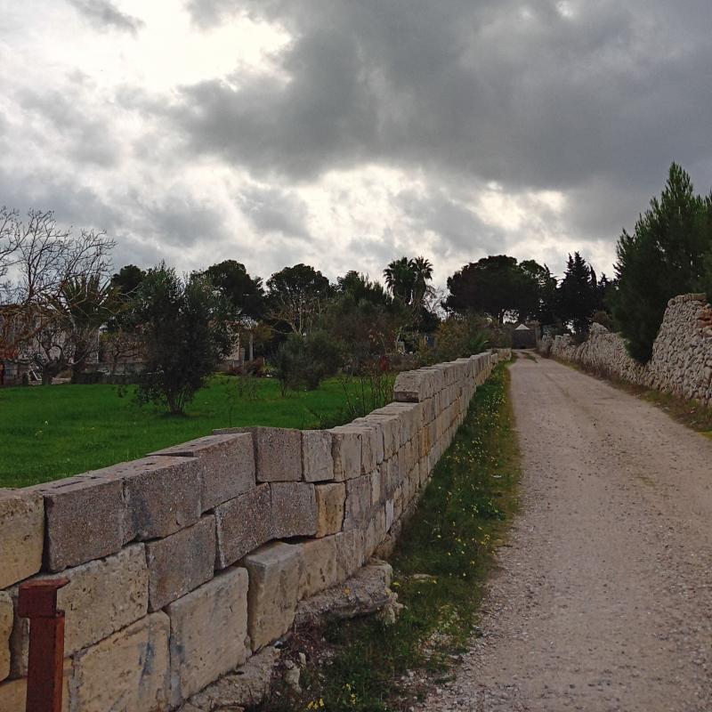 Fotosegnalazione di Martano