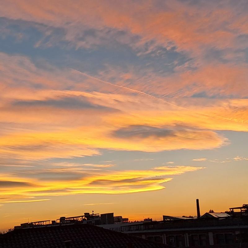Gallarate 25 novembre