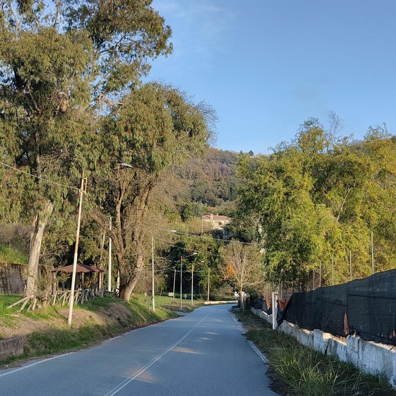 Fotosegnalazione di Francavilla angitola