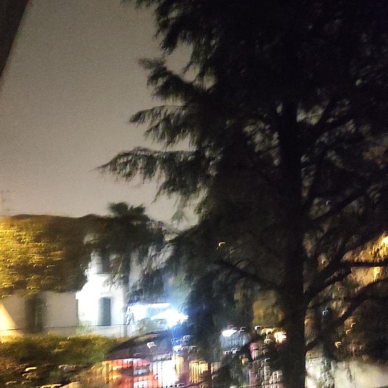 Fotosegnalazione di Monza san carlo