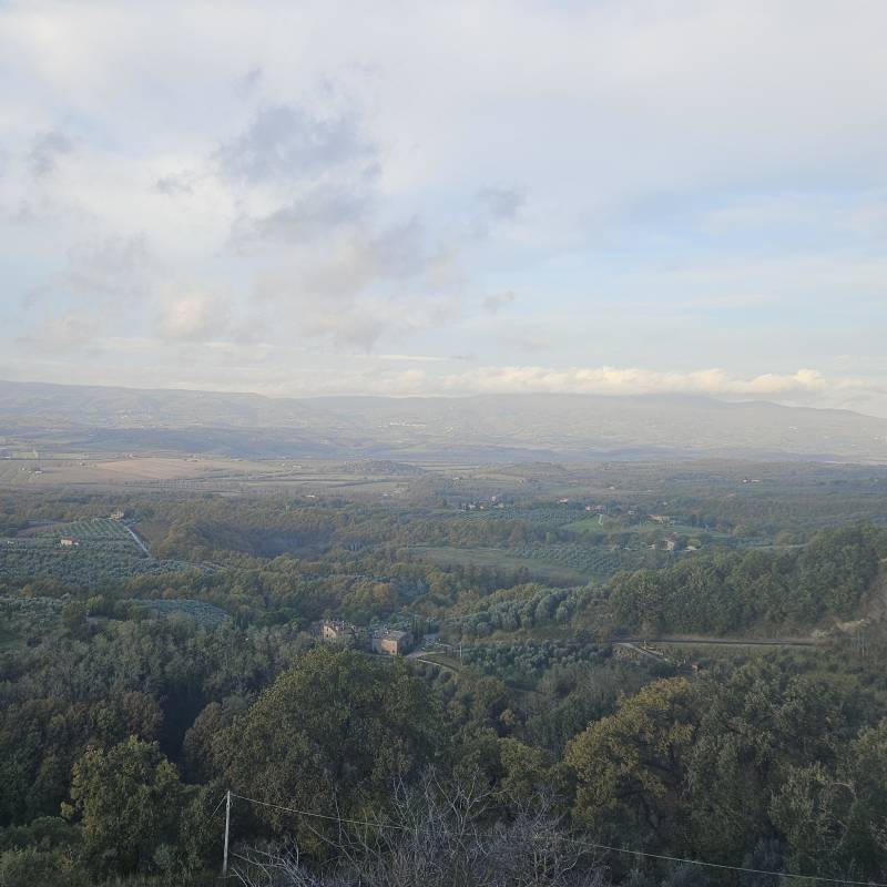 vista sulla valdichiana