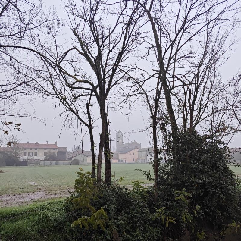 Fotosegnalazione di Gambarana