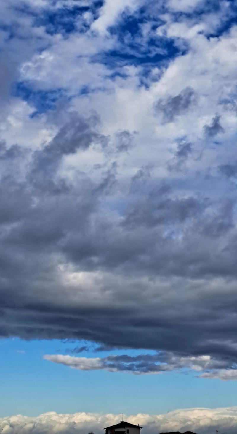 se piove x santa bibiana piove 40 gg e una settimana