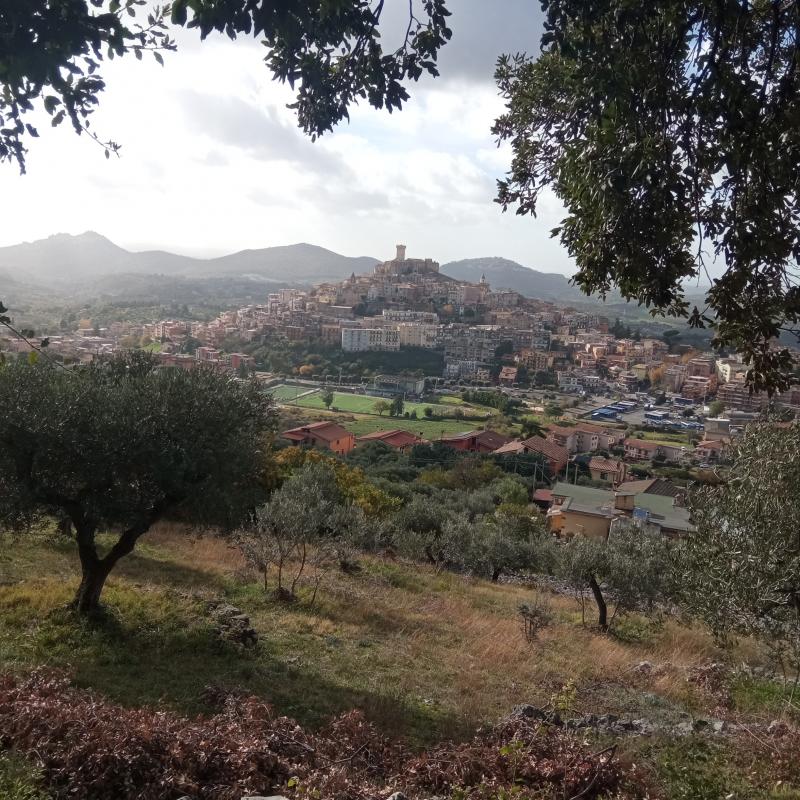 Fotosegnalazione di Palombara sabina