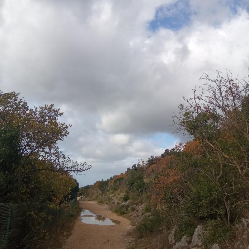 Fotosegnalazione di Palombara sabina