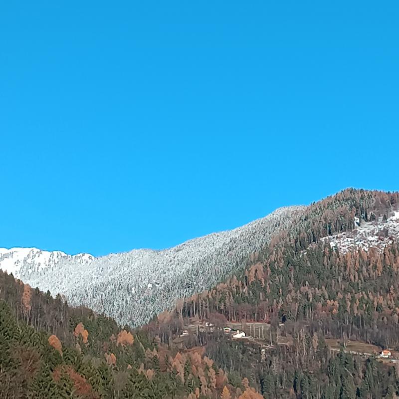 Fotosegnalazione di Villa rendena