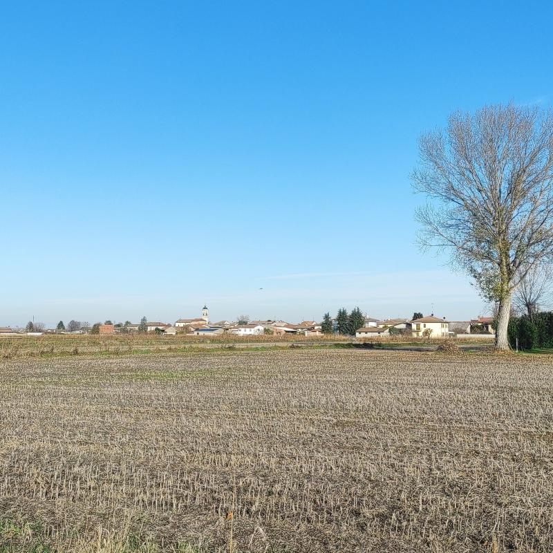 Fotosegnalazione di Zerbo