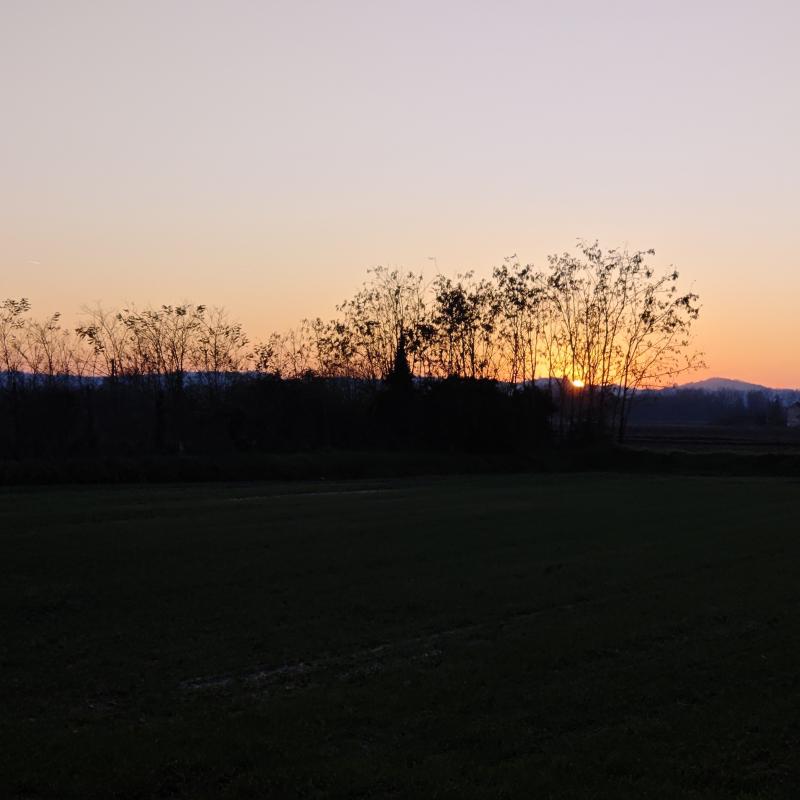 Fotosegnalazione di Gambarana