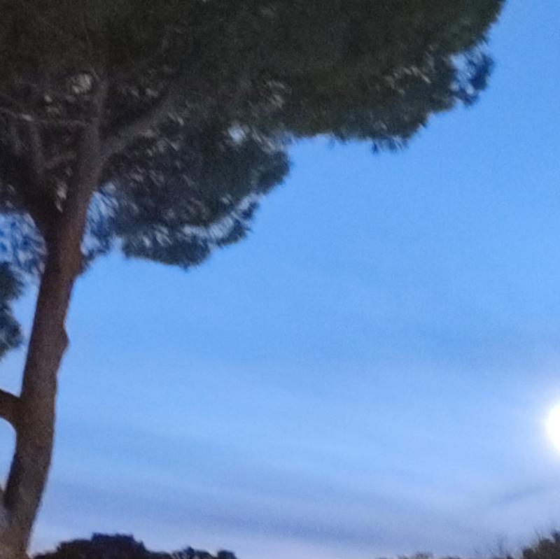 Fotosegnalazione di Roma ardeatino