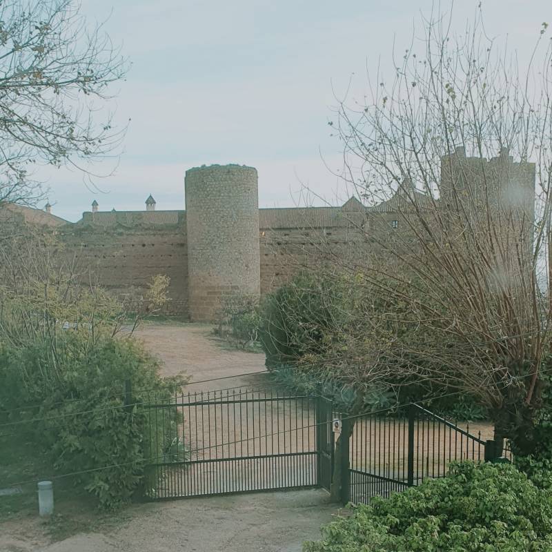Fotosegnalazione di Carmona