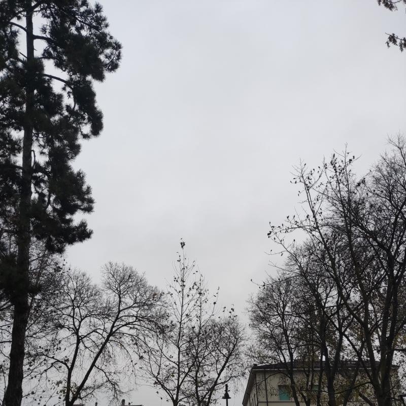 Fotosegnalazione di Mantova centro