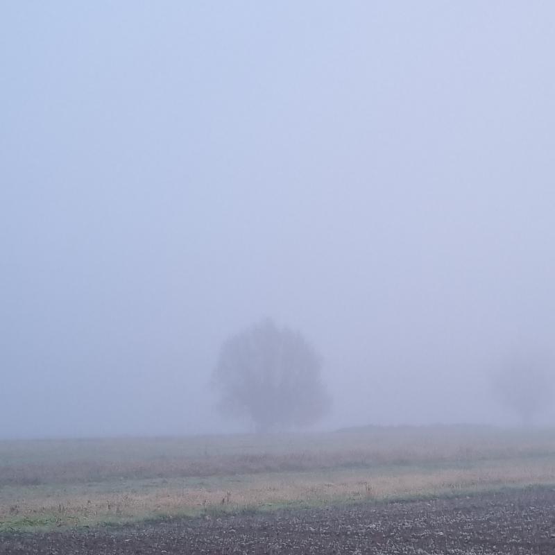 Fotosegnalazione di Montechiarugolo
