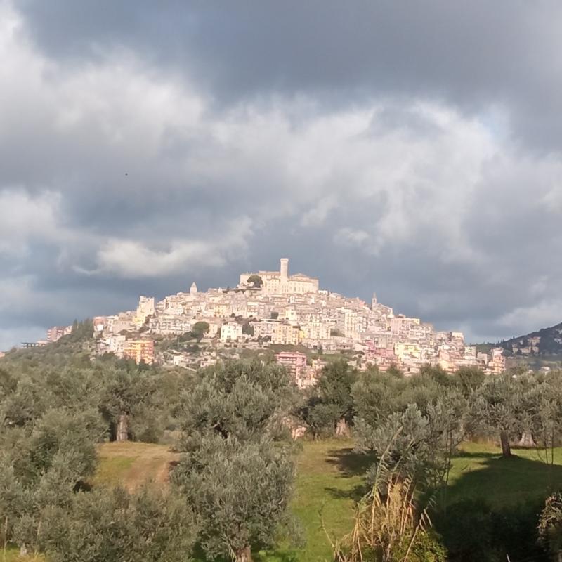 Fotosegnalazione di Palombara sabina