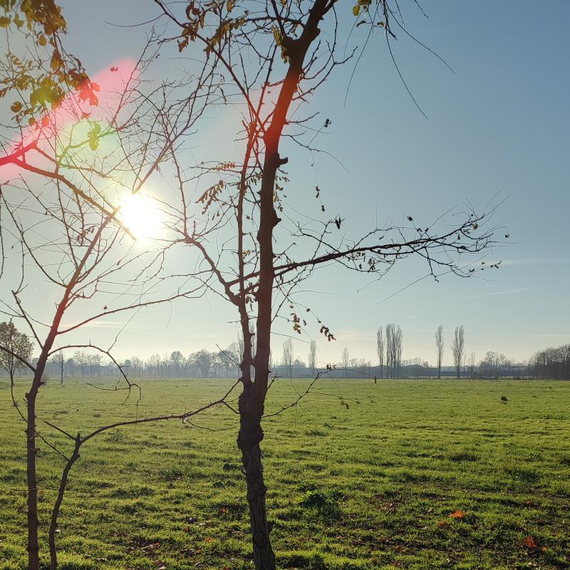 colori di dicembre.giornata con sole