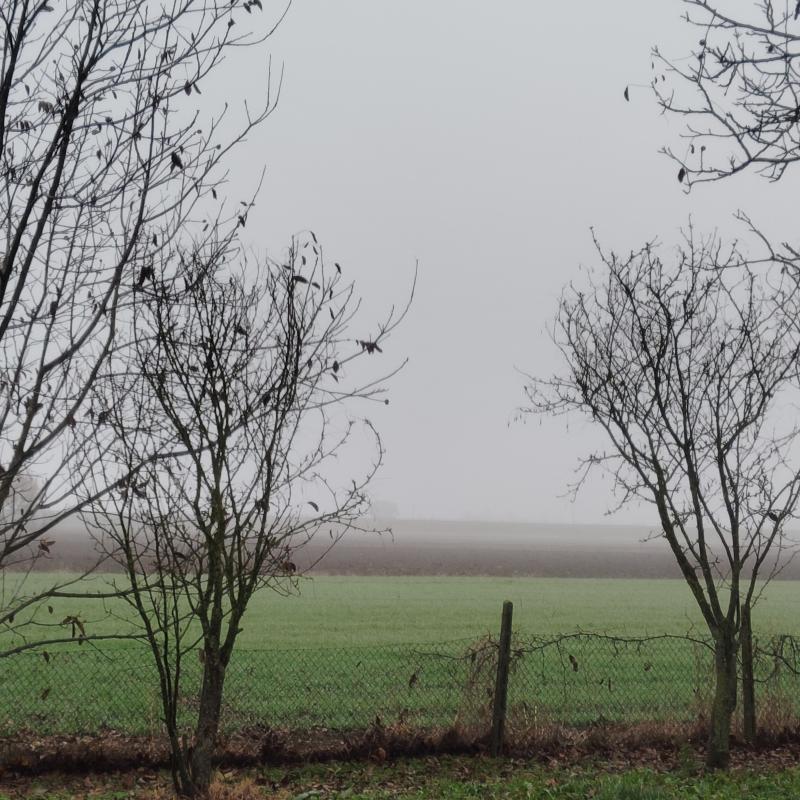 Fotosegnalazione di Voghiera