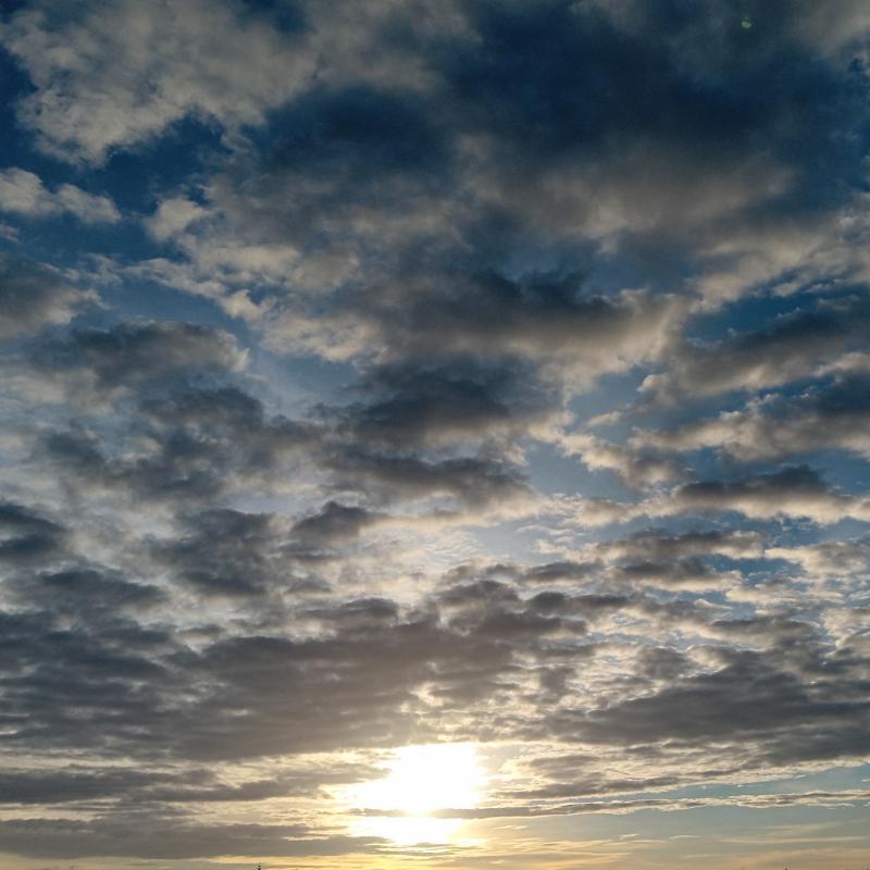 Fotosegnalazione di Trani sud