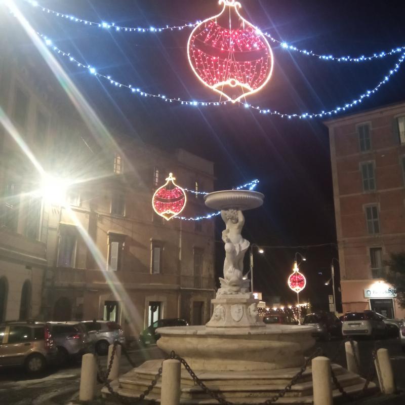 Fotosegnalazione di Palombara sabina