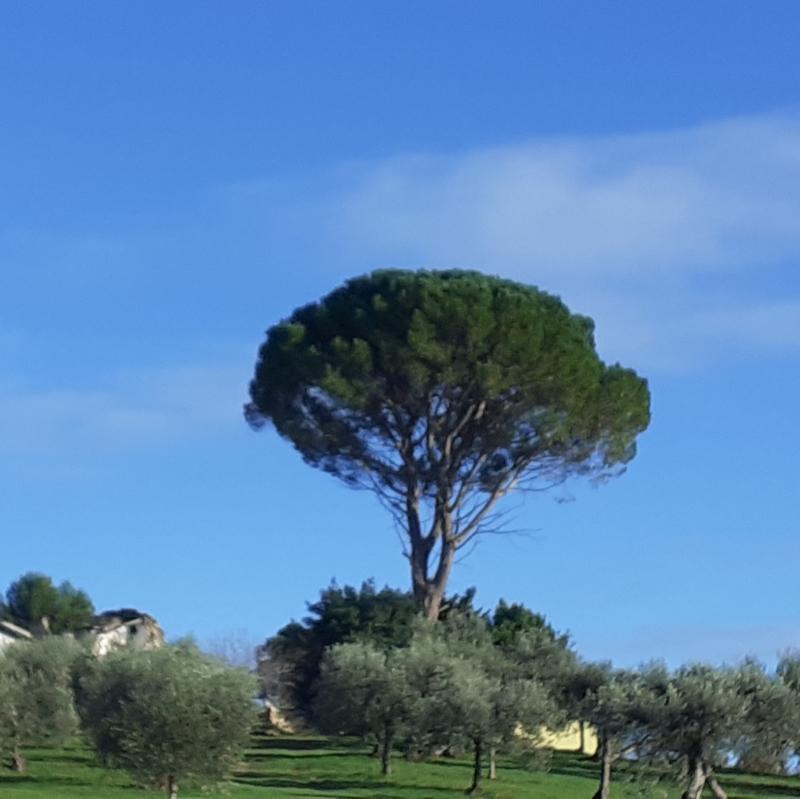Bella giornata di dicembre