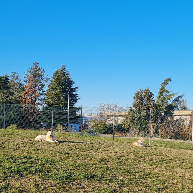 Stupenda giornata di sole