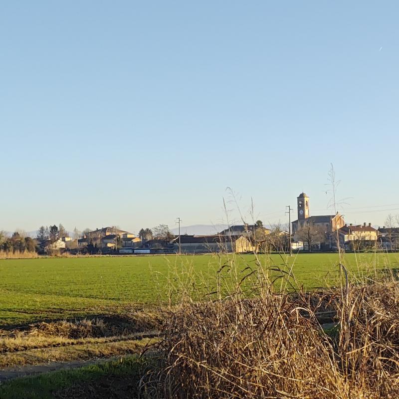 Fotosegnalazione di Gambarana