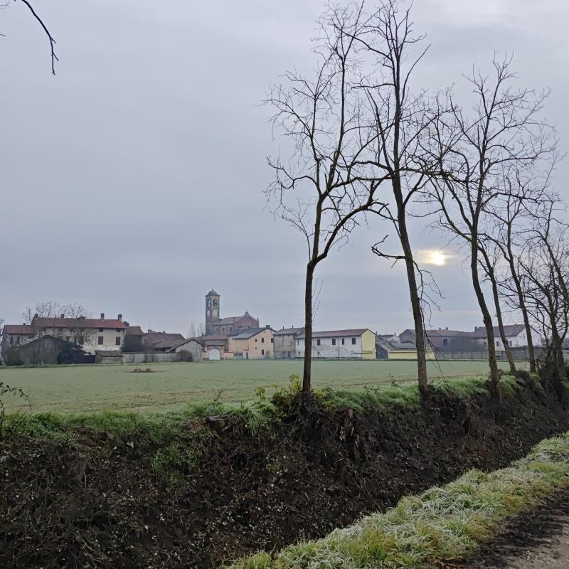 Fotosegnalazione di Gambarana