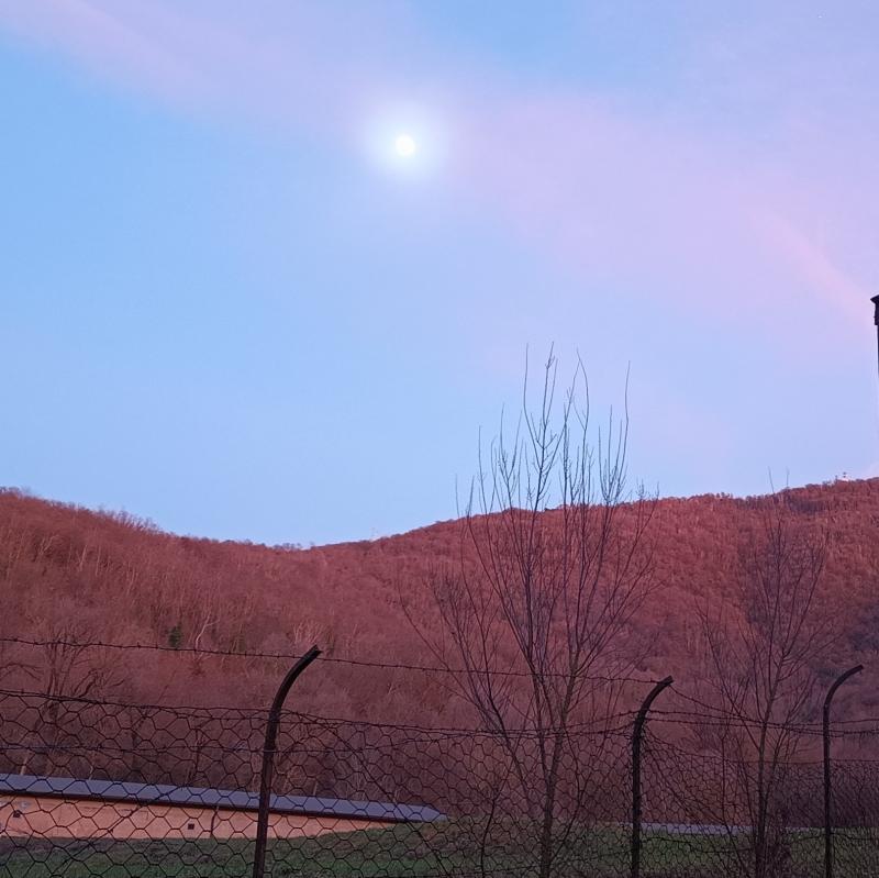 Fotosegnalazione di Brescia parco delle colline nordest