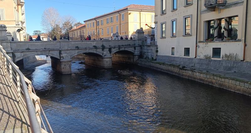 ponte dei leoni by fabry