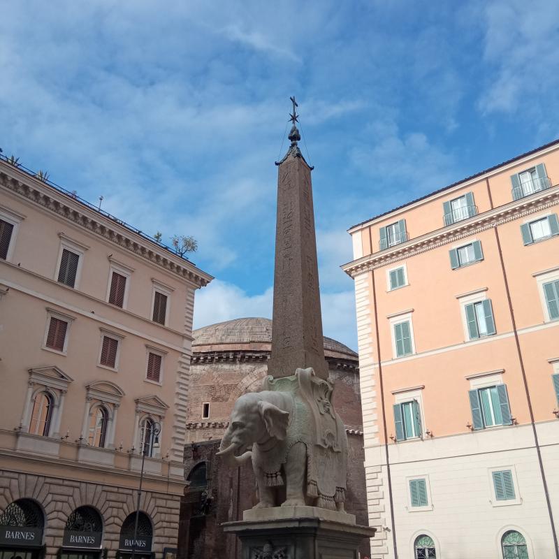Fotosegnalazione di Roma pigna