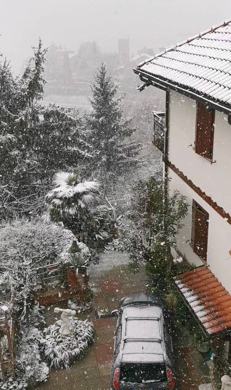 da rossino stupenda immagine di fine anno