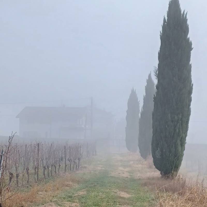 Fotosegnalazione di Provaglio d'iseo