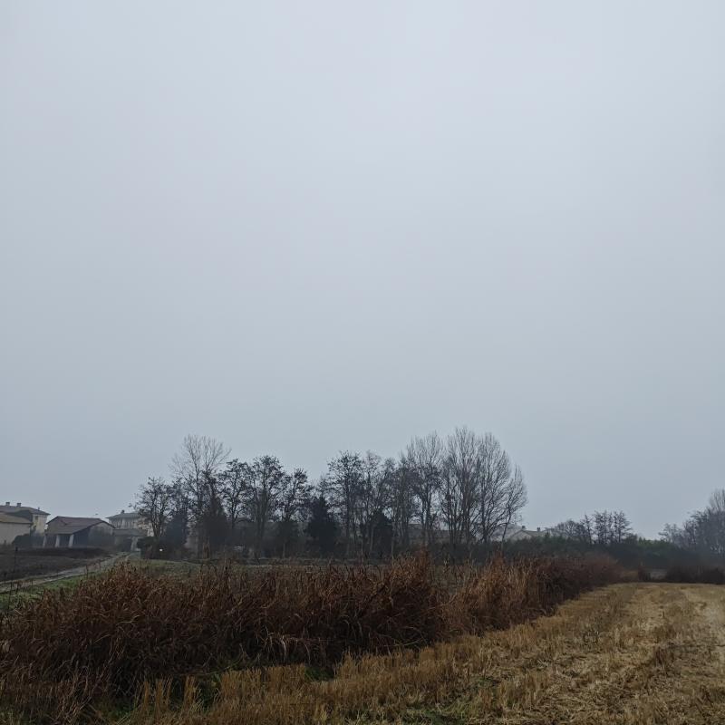 Fotosegnalazione di Gambarana
