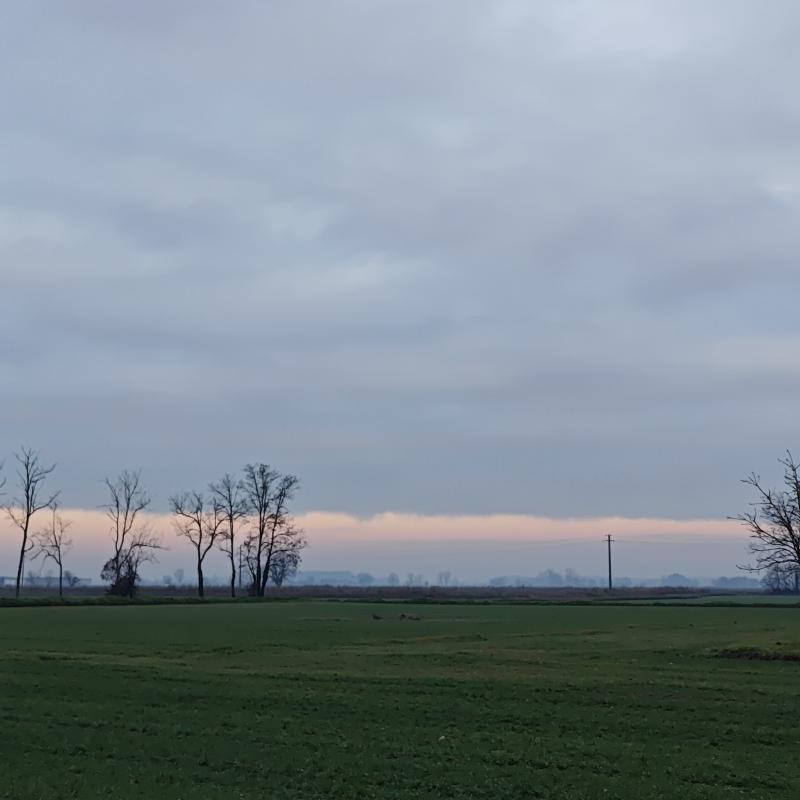 Fotosegnalazione di Gambarana