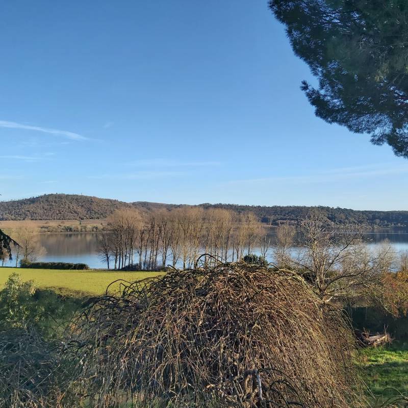 Primavera d'inverno al lago di martignano