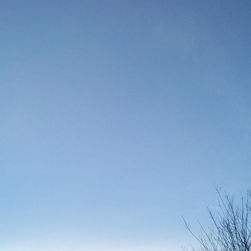 Fotosegnalazione di Forno canavese