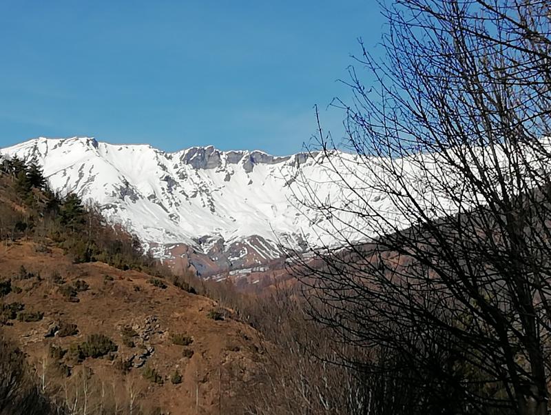 bellissima giornata