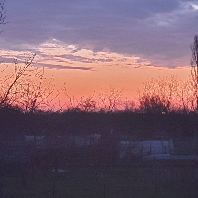 Fotosegnalazione di Boretto