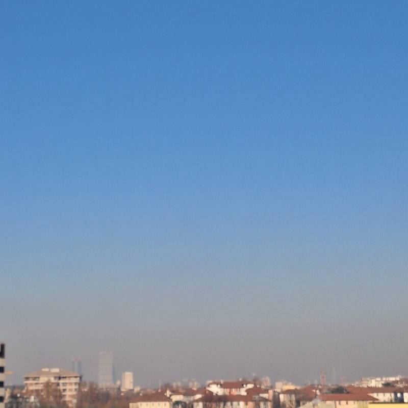 Fotosegnalazione di Milano morivione