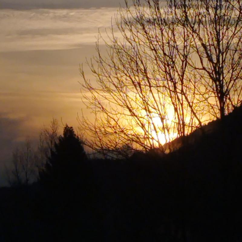 Fotosegnalazione di Villa santina