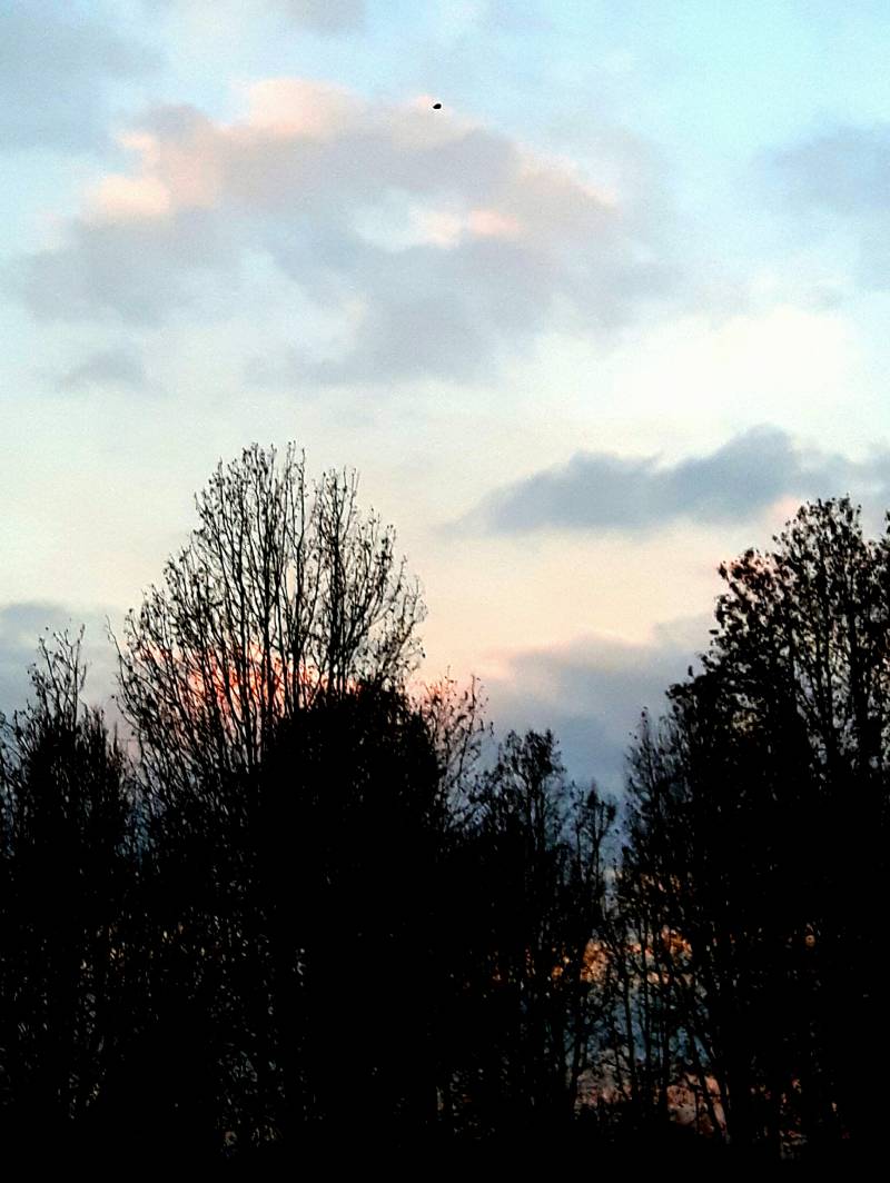 colori pastello