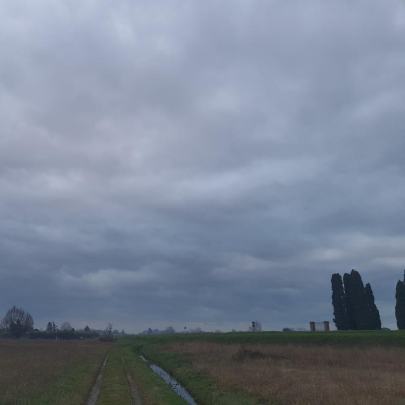 Fotosegnalazione di San giuliano terme