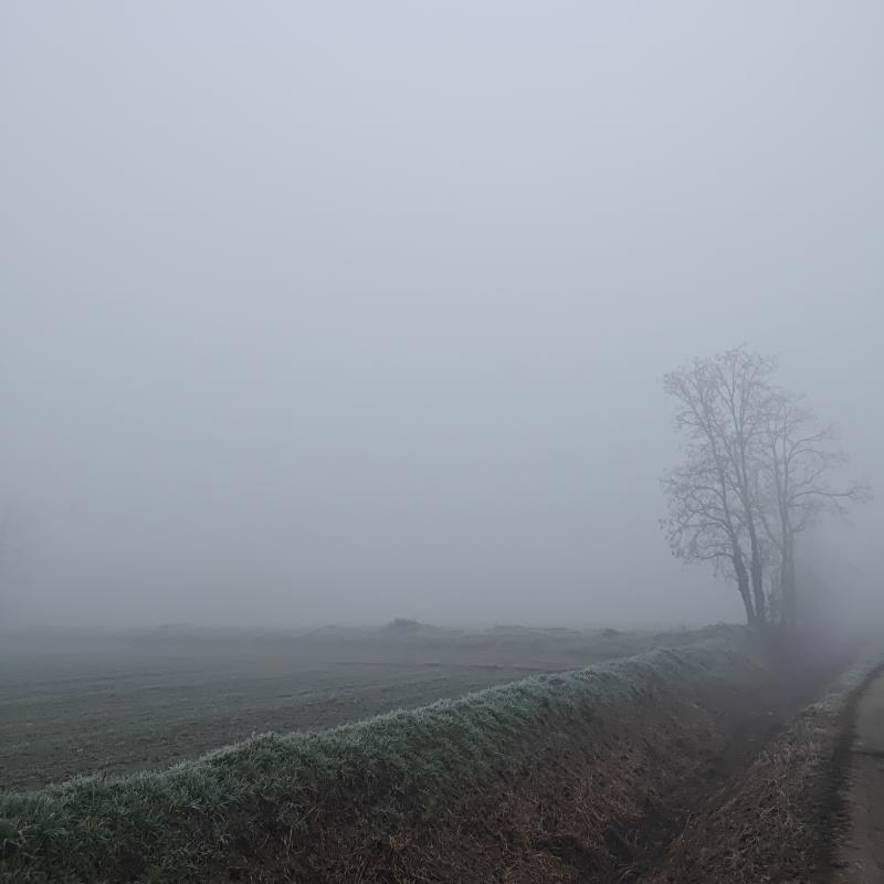 Fotosegnalazione di Gambarana