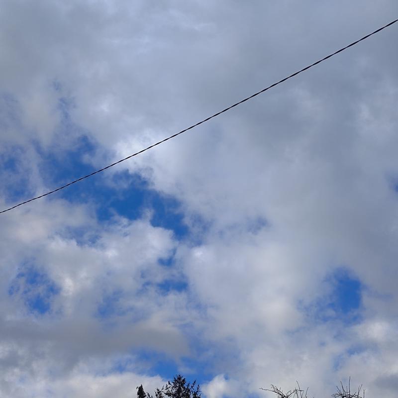 Fotosegnalazione di Genova sturla
