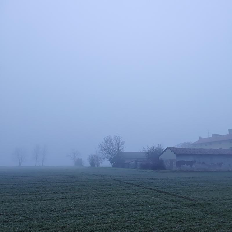 Fotosegnalazione di Gambarana