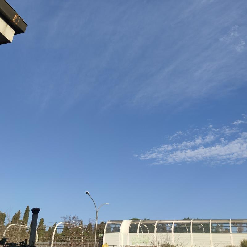 Fotosegnalazione di Borghesiana