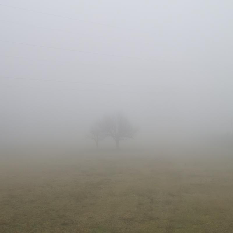 Fotosegnalazione di Gerenzano