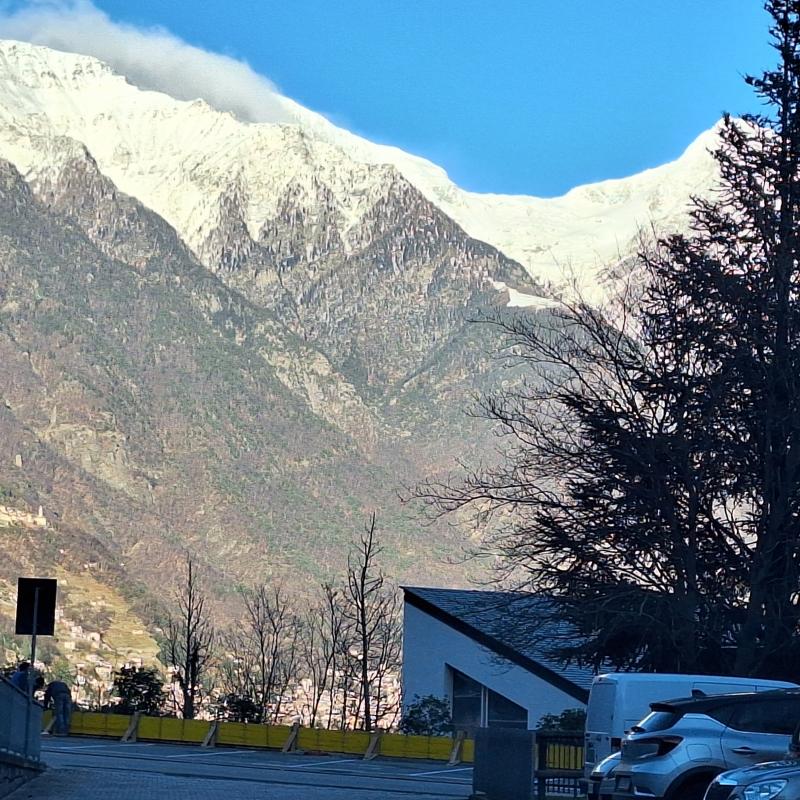 Fotosegnalazione di Gordona