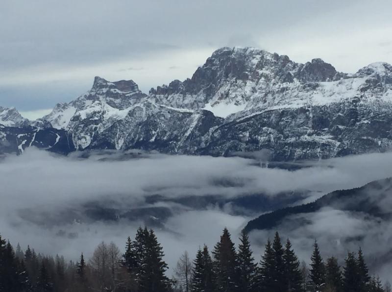 monte...