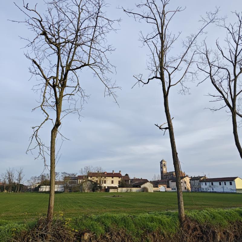 Fotosegnalazione di Gambarana