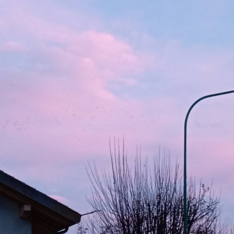 Fotosegnalazione di San mauro torinese