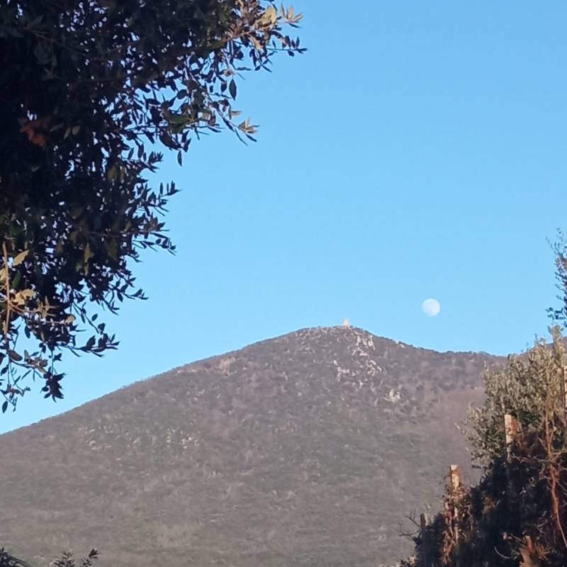 Fotosegnalazione di Palombara sabina